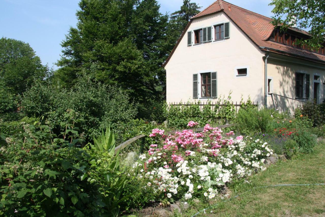 Poncet'Sches Herrenhaus Dresden Exterior foto